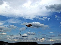 2008 KiteFestival-034.jpg